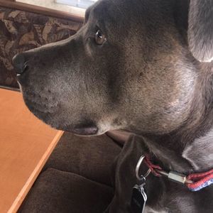 Meet your Posher, Christina